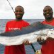 lancier-pris-en-peche-a-la-traine-rod-fishing-club-ile-rodrigues-maurice-ocean-indien