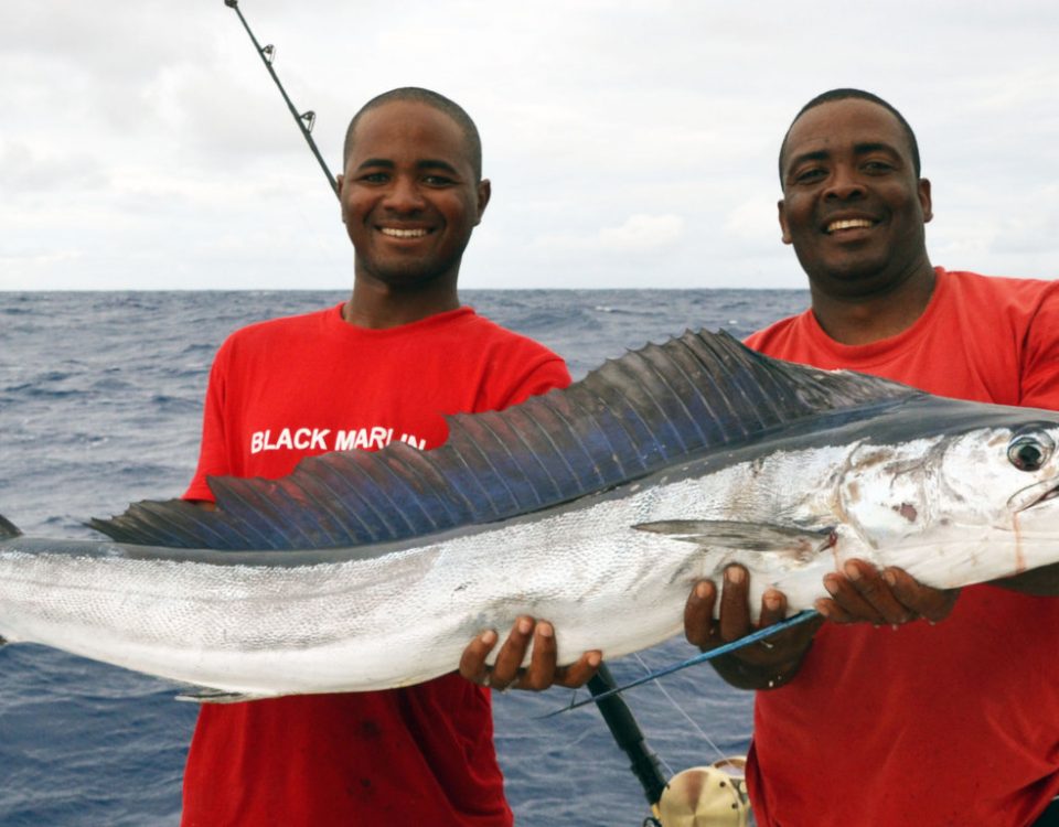 lancier-pris-en-peche-a-la-traine-rod-fishing-club-ile-rodrigues-maurice-ocean-indien