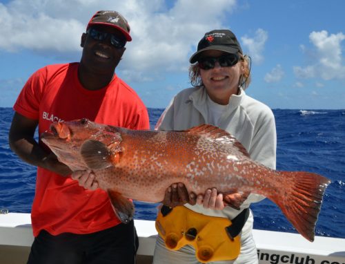 nice-red-corail-trout-on-baiting-by-christine-before-releasing-rod-fishing-club-rodrigues-island-mauritius-indian-ocean