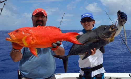 Croissant queue jaune et carangue lugubris pris en jigging - www.rodfishingclub.com - Ile Rodrigues - Maurice - Océan Indien