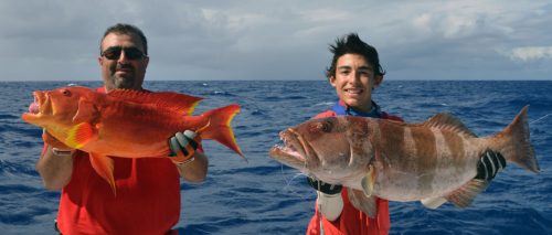 Croissant queue jaune et mérou babone pris en jigging - www.rodfishingclub.com - Ile Rodrigues - Maurice - Océan Indien