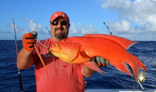 Croissant queue jaune pris en jigging par Malik - www.rodfishingclub.com - Ile Rodrigues - Maurice - Océan Indien