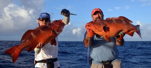 Doublé de mérous babone pris en jigging avant relâche - www.rodfishingclub.com - Ile Rodrigues - Maurice - Océan Indien