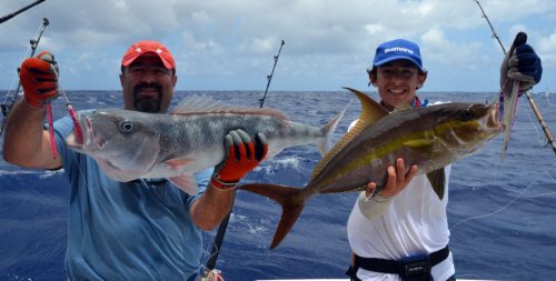 Jobfish and seriola caught on jigging - www.rodfishingclub.com - Rodrigues Island - Mauritius - Indian Ocean