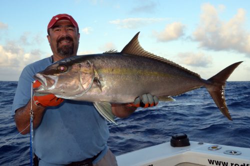 Magnifique sériole prise en jigging par Malik - www.rodfishingclub.com - Ile Rodrigues - Maurice - Océan Indien