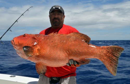 Mérou babone pris en jigging par Malik avant relâche - www.rodfishingclub.com - Ile Rodrigues - Maurice - Océan Indien