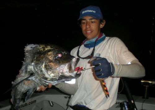 Tête de carangue ignobilis (GT) prise en jigging par Marius - www.rodfishingclub.com - Ile Rodrigues - Maurice - Océan Indien