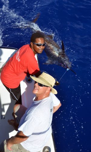 200lbs blue marlin on leader before releasing - www.rodfishingclub.com - Mauritius - Indian Ocean