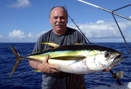 Magnifique thon jaune pris en pêche a la traîne par Jean Marie - www.rodfishingclub.com - Ile Rodrigues - Maurice - Océan Indien