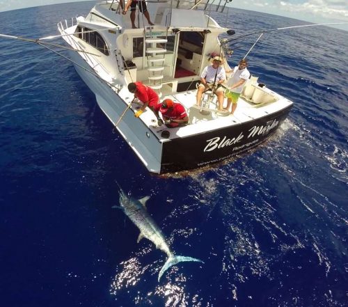 Marlin bleu de plus de 200kg vu d'un drône - www.rodfishingclub.com - Maurice - Océan Indien