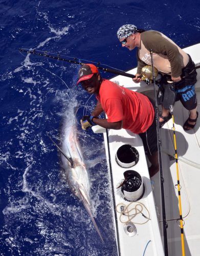 Marlin noir de 150kg pris en pêche au vif par Bruno - www.rodfishingclub.com - Ile Rodrigues - Maurice - Océan Indien