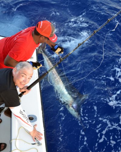 Petit marlin bleu au bateau pris en pêche a la traîne par Bruno avant la relâche - www.rodfishingclub.com - Ile Rodrigues - Maurice - Océan Indien