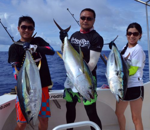 Thons jaunes en pêche a la traine - www.rodfishingclub.com - Ile Rodrigues - Maurice - Océan Indien