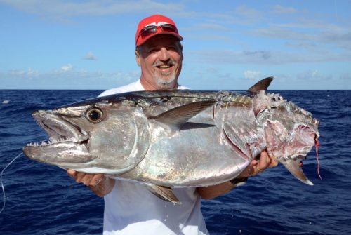 Beau thon dents de chien coupé pris en pêche a l'appât par Silvano - www.rodfishingclub.com - Ile Rodrigues - Maurice - Océan Indien