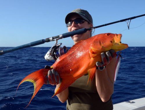 Croissant queue jaune par Dodo en pêche au jig - www.rodfishingclub.com - Ile Rodrigues - Maurice - Océan Indien