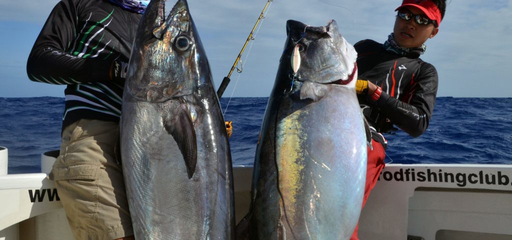 Magnifiques thon a dents de chien de 44kg et 38kg - www.rodfishingclub.com - Ile Rodrigues - Maurice - Océan Indien