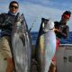 Magnifiques thon a dents de chien de 44kg et 38kg - www.rodfishingclub.com - Ile Rodrigues - Maurice - Océan Indien