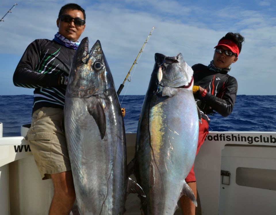 Magnifiques thon a dents de chien de 44kg et 38kg - www.rodfishingclub.com - Ile Rodrigues - Maurice - Océan Indien