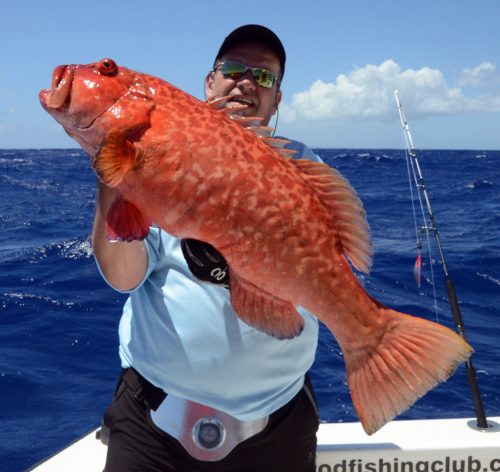 Mérou babone par Bruno en pêche au jig - www.rodfishingclub.com - Ile Rodrigues - Maurice - Océan Indien