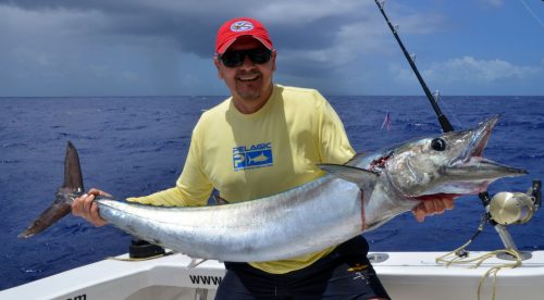 Nice wahoo of 18kg caught on trolling by Gianni - www.rodfishingclub.com - Rodrigues Island - Mauritius - Indian Ocean