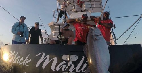 Pull 57.5kg doggy up on the boat by Fred on baiting - www.rodfishingclub.com - Rodrigues Island - Mauritius - Indian Ocean