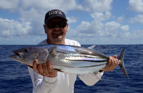 Skipjack tuna caught on trolling by Gianni - www.rodfishingclub.com - Rodrigues Island - Mauritius - Indian Ocean