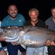 Thon dents de chien de 68kg pris en pêche a l'appât - www.rodfishingclub.com - Ile Rodrigues - Maurice - Océan Indien