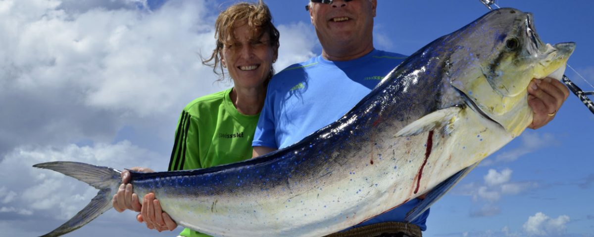 Dorade coryphene prise en pêche a la traîne - www.rodfishingclub.com - Ile Rodrigues - Maurice - Océan Indien