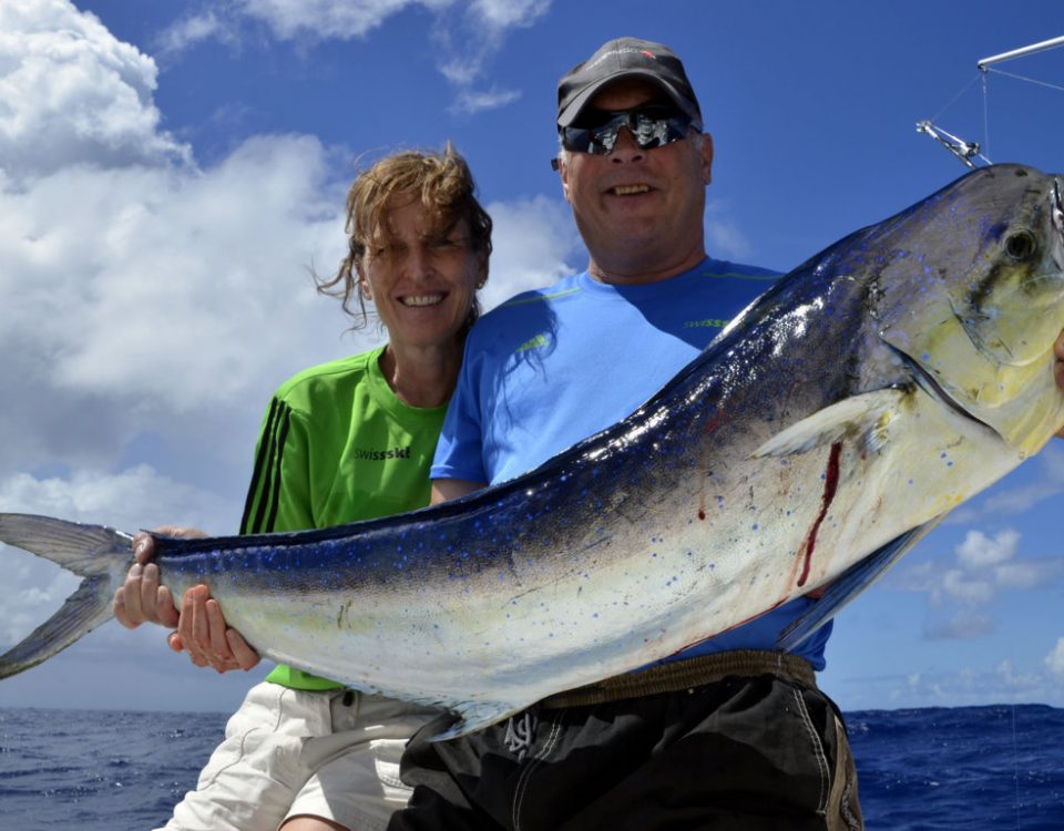 Dorade coryphene prise en pêche a la traîne - www.rodfishingclub.com - Ile Rodrigues - Maurice - Océan Indien