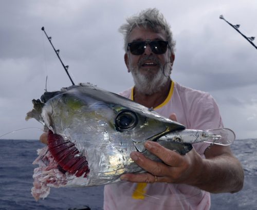 Head of yellowfin tuna caught after the shark - www.rodfishingclub.com - Rodrigues Island - Mauritius - Indian Ocean