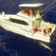 Marlin noir arrivant au bateau vu d'un drone - www.rodfishingclub.com - Ile Rodrigues - Maurice - Océan IndienMarlin noir arrivant au bateau vu d'un drone - ww.rodfishingclub.com - Ile Rodrigues - Maurice - Océan Indien