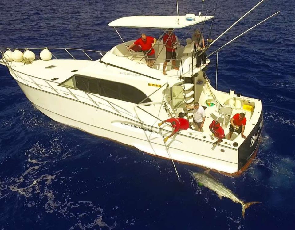 Marlin noir arrivant au bateau vu d'un drone - www.rodfishingclub.com - Ile Rodrigues - Maurice - Océan IndienMarlin noir arrivant au bateau vu d'un drone - ww.rodfishingclub.com - Ile Rodrigues - Maurice - Océan Indien