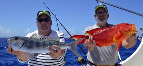 Multifishing on Black Marlin - www.rodfishingclub.com - Rodrigues Island - Mauritius - Indian Ocean