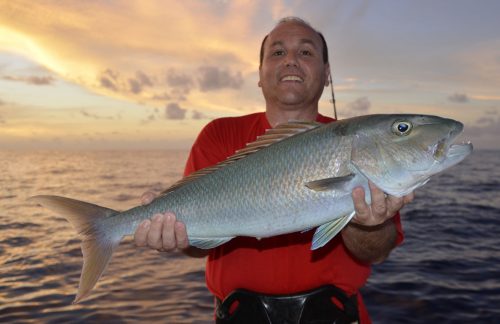 Poisson poulet en pêche a l'appât par Léo - ww.rodfishingclub.com - Ile Rodrigues - Maurice - Océan Indien