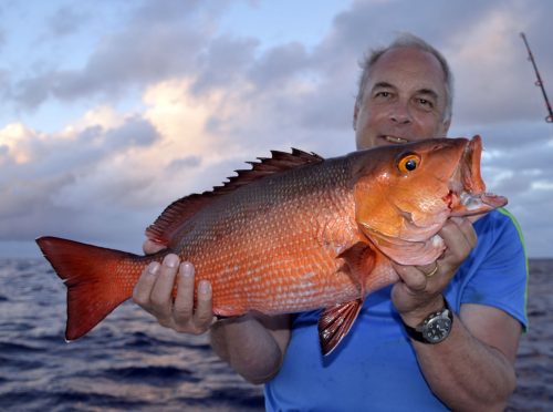 Red snapper on baiting by Jean Philippe - www.rodfishingclub.com - Rodrigues Island - Mauritius - Indian Ocean