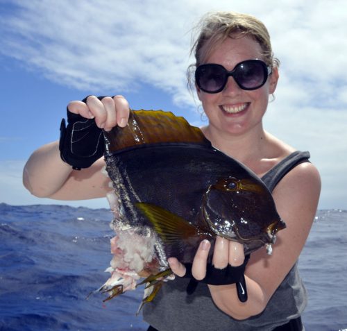 Surgeon fish caught on baiting by Alanah - www.rodfishingclub.com - Rodrigues Island - Mauritius - Indian Ocean