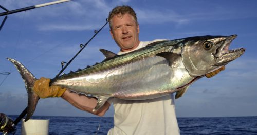 Marlin noir arrivant au bas de ligne pris en pêche a la traîne - ww.rodfishingclub.com - Ile Rodrigues - Maurice - Océan Indien