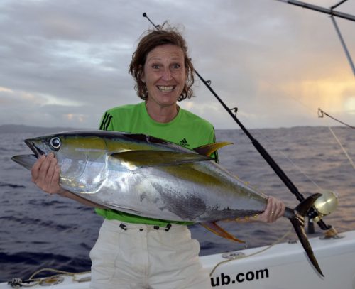 Thon jaune de 19kg pris en pêche a la traîne par Dominique - www.rodfishingclub.com - Ile Rodrigues - Maurice - Océan Indien