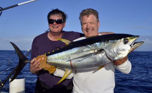 Thon jaune en pêche a la traîne - ww.rodfishingclub.com - Ile Rodrigues - Maurice - Océan Indien