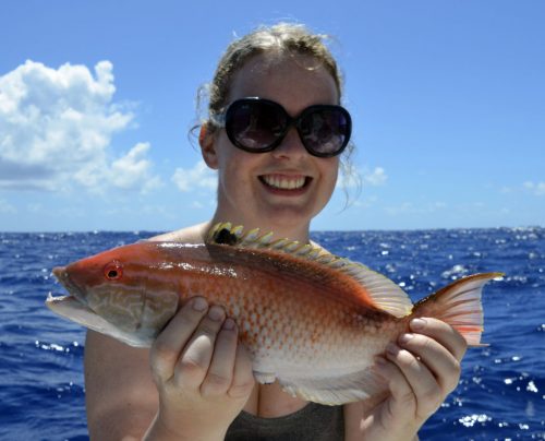 Un labridé pris en pêche a la palangrotte par Alanah - www.rodfishingclub.com - Ile Rodrigues - Maurice - Océan Indien