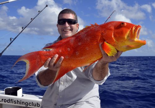 Croissant queue jaune en pêche a l'appât pour Nicolas - www.rodfishingclub.com - Ile Rodrigues - Maurice -Océan Indien