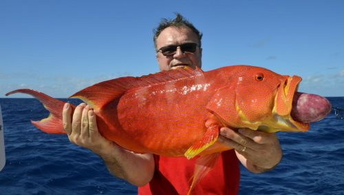 Croissant queue jaune pris en pêche a l'appât par Pierre - www.rodfishingclub.com - Ile Rodrigues - Maurice - Océan Indien