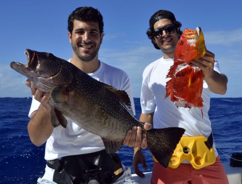 Diversity on bottomfishing - www.rodfishingclub.com - Rodrigues Island - Mauritius - Indian Ocean