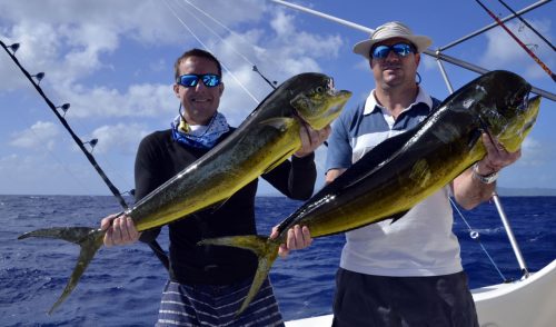 Dorados on trolling for Olivier and Jean Michel - www.rodfishingclub.com - Rodrigues Island - Mauritius - Indian Ocean