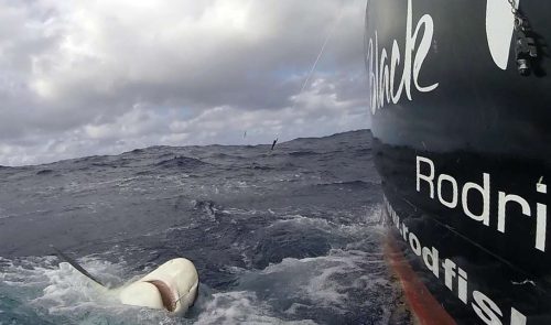 Ferrage parfait pour ce requin pointe blanche - www.rodfishingclub.com - Ile Rodrigues - Maurice - Océan Indien