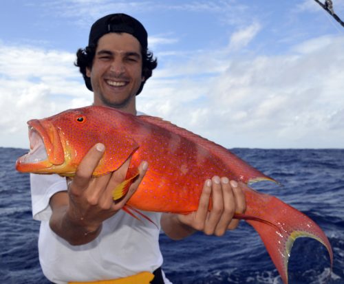 Moontail Sea Bass for Yohan on baiting - www.rodfishingclub.com - Rodrigues Island - Mauritius - Indian Ocean