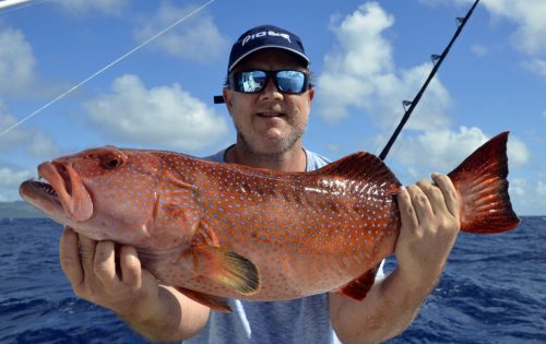Red corail trout on jigging by Lance - www.rodfishingclub.com - Rodrigues Island - Mauritius - Indian Ocean