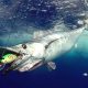 Wahoo caught on trolling with a Williamson Speed Pro Deep 180 - www.rodfishingclub.com - Rodrigues Island - Mauritius - Indian Ocean
