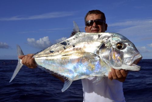 African pompano (alectis ciliaris) by Louis on jigging - www.rodfishingclub.com - Rodrigues - Mauritius - Indian Ocean