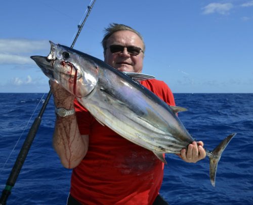 Big skipjack tuna by Pierre on trolling - www.rodfishingclub.com - Rodrigues Island - Mauritius - Indian Ocean